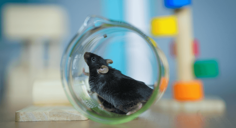 代謝類(lèi)模型